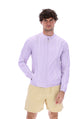 Pastel Lilac